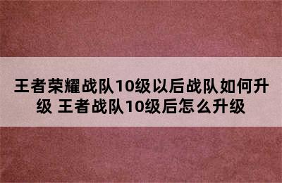 王者荣耀战队10级以后战队如何升级 王者战队10级后怎么升级